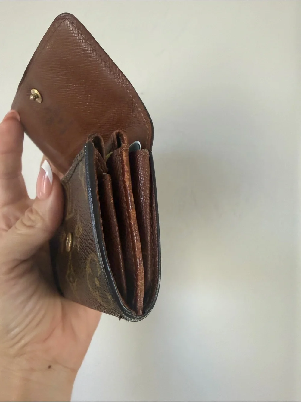 Louis Vuitton classic louis